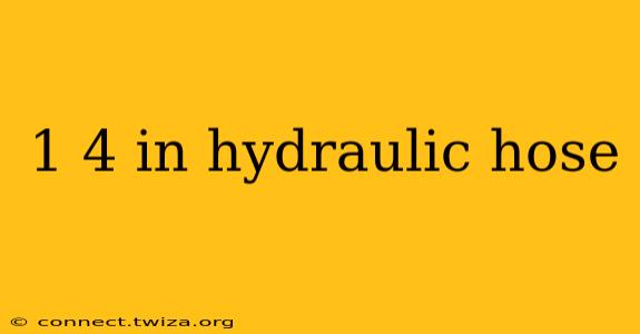 1 4 in hydraulic hose