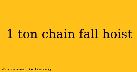 1 ton chain fall hoist