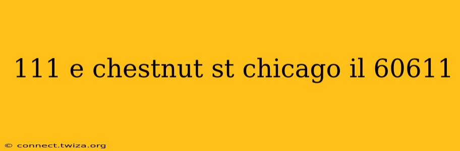 111 e chestnut st chicago il 60611