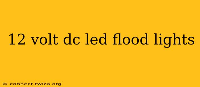 12 volt dc led flood lights