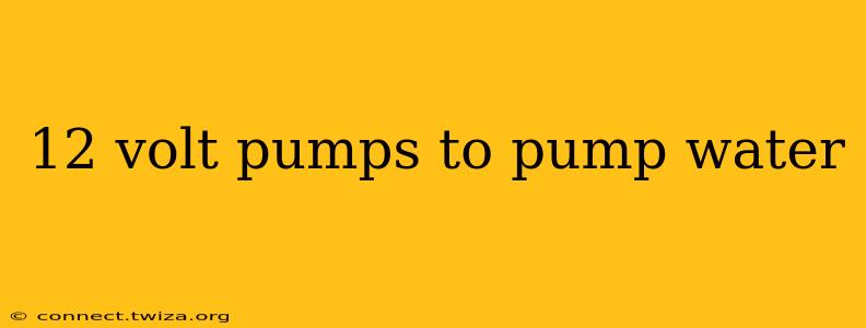 12 volt pumps to pump water