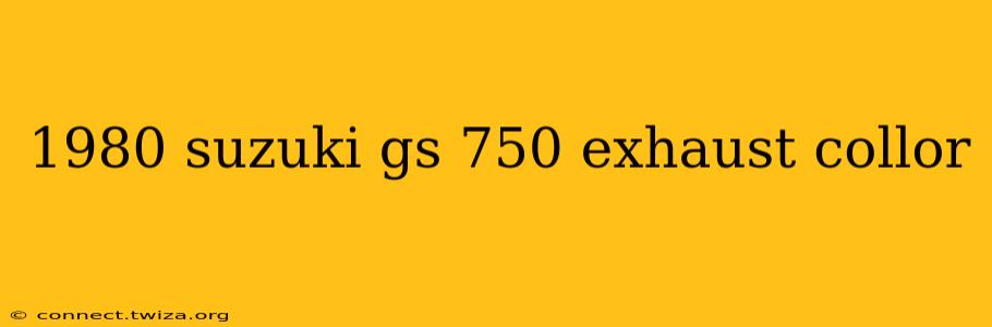 1980 suzuki gs 750 exhaust collor