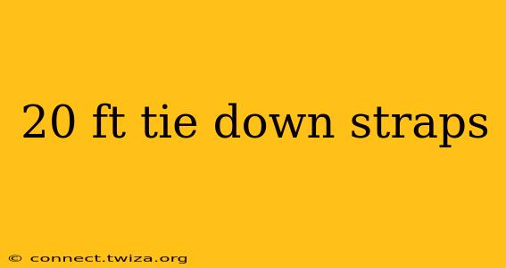20 ft tie down straps