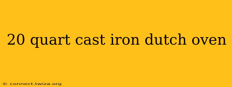 20 quart cast iron dutch oven