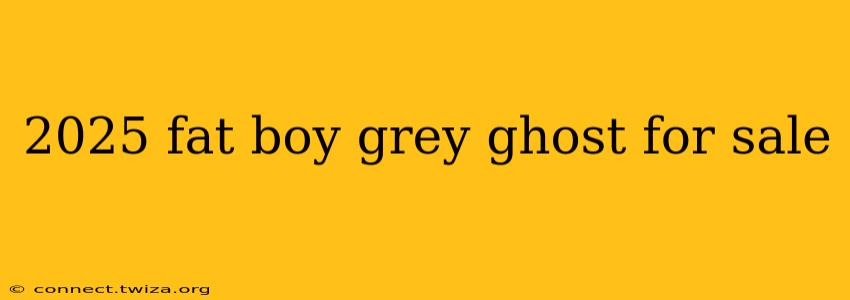 2025 fat boy grey ghost for sale