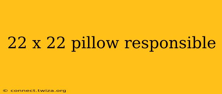 22 x 22 pillow responsible