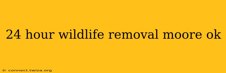 24 hour wildlife removal moore ok