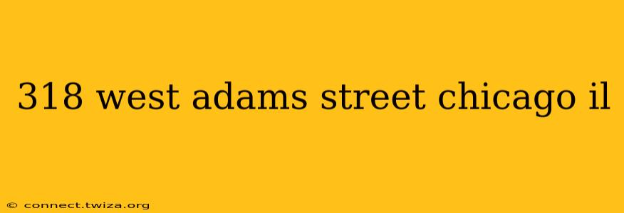 318 west adams street chicago il