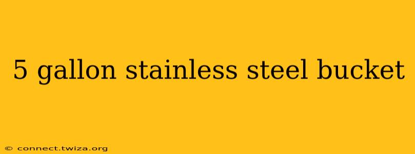 5 gallon stainless steel bucket