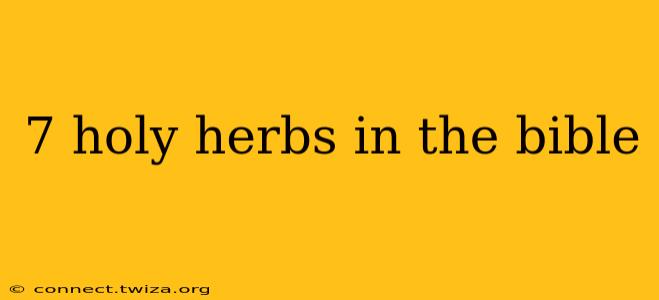 7 holy herbs in the bible