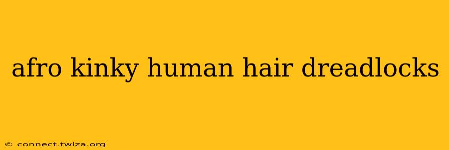 afro kinky human hair dreadlocks