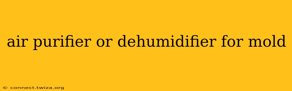 air purifier or dehumidifier for mold