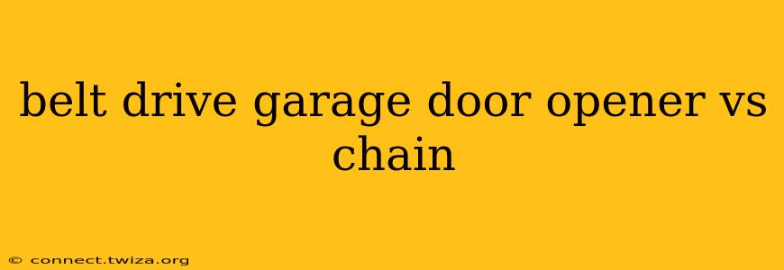belt drive garage door opener vs chain