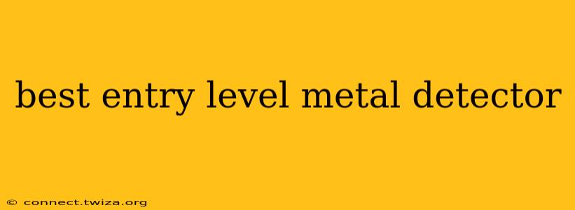 best entry level metal detector