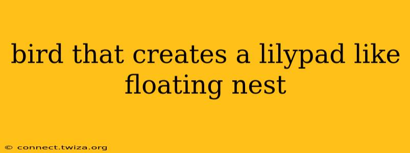 bird that creates a lilypad like floating nest