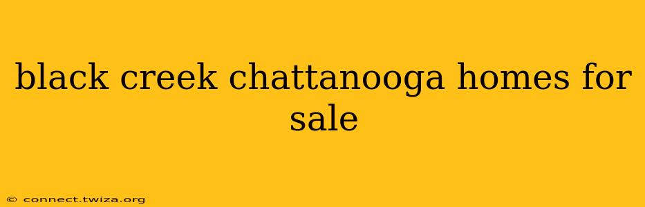 black creek chattanooga homes for sale