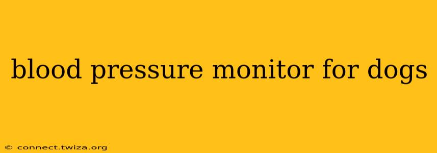 blood pressure monitor for dogs