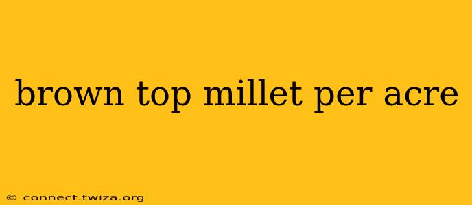 brown top millet per acre