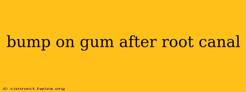 bump on gum after root canal
