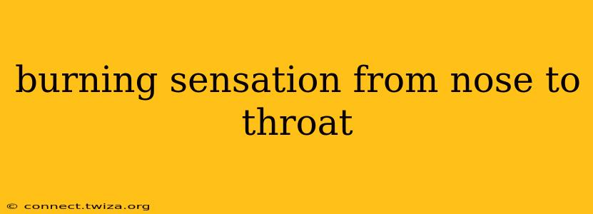 burning sensation from nose to throat
