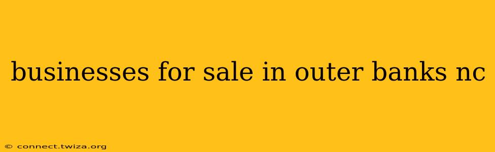 businesses for sale in outer banks nc