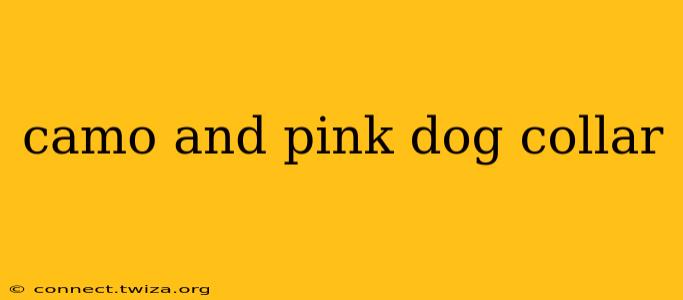 camo and pink dog collar