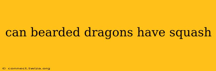 can bearded dragons have squash