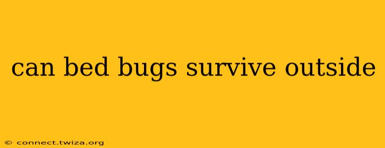can bed bugs survive outside