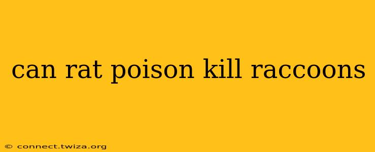 can rat poison kill raccoons