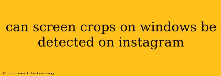 can screen crops on windows be detected on instagram