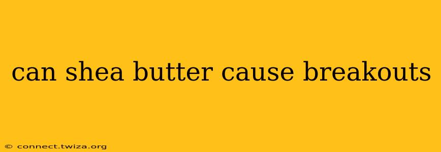 can shea butter cause breakouts
