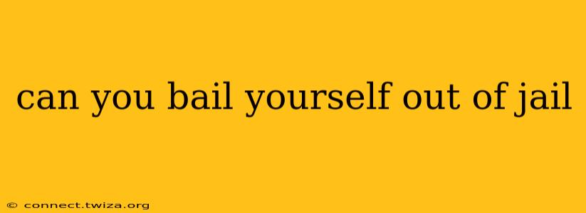 can you bail yourself out of jail