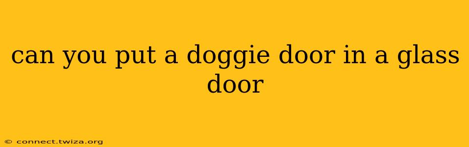 can you put a doggie door in a glass door