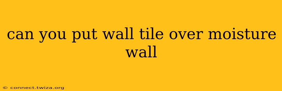 can you put wall tile over moisture wall
