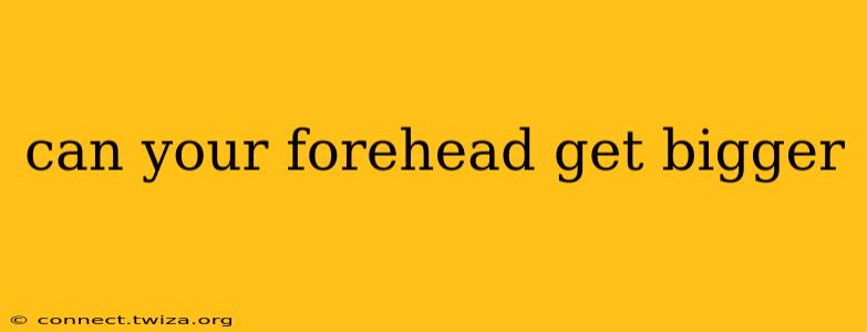 can your forehead get bigger