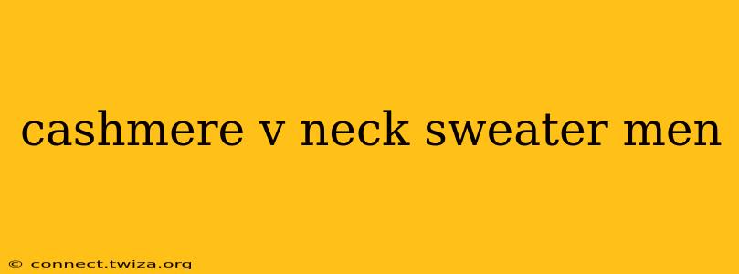 cashmere v neck sweater men
