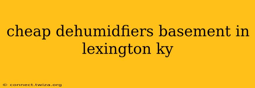cheap dehumidfiers basement in lexington ky