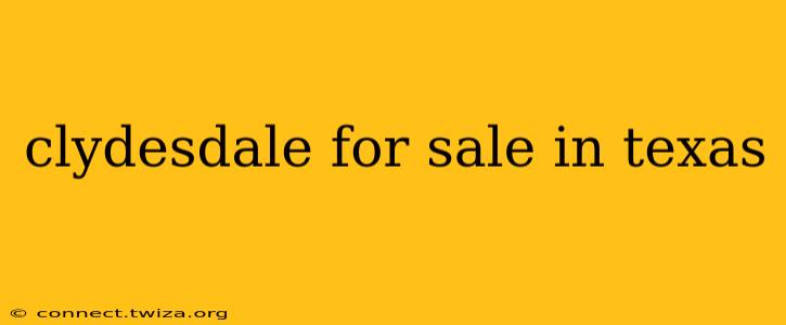 clydesdale for sale in texas