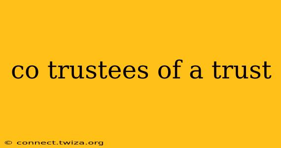 co trustees of a trust
