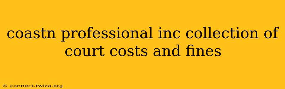 coastn professional inc collection of court costs and fines