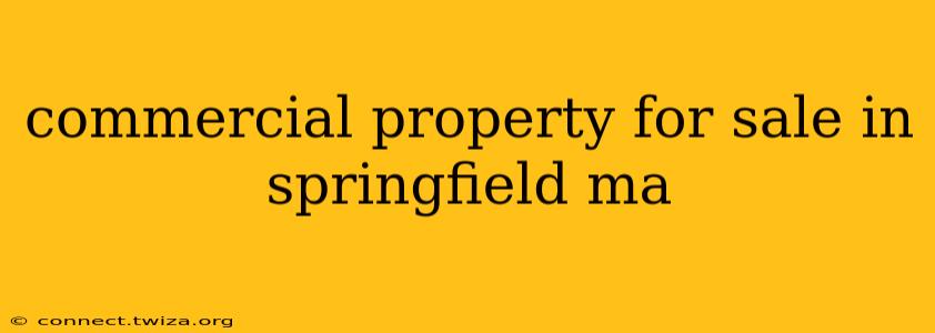 commercial property for sale in springfield ma