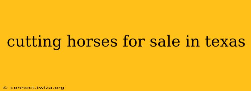cutting horses for sale in texas