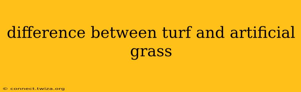 difference between turf and artificial grass
