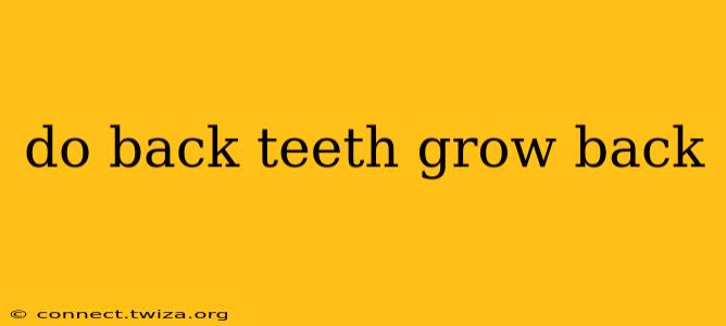 do back teeth grow back