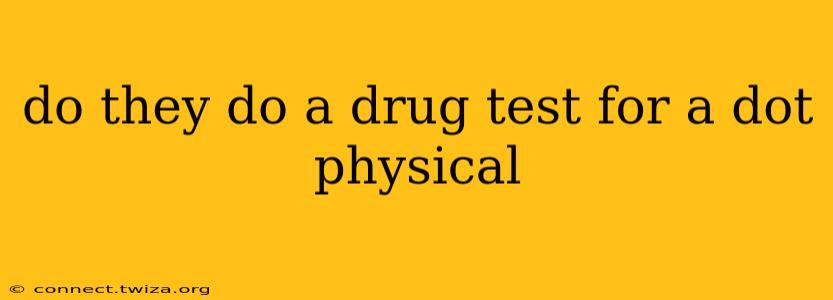 do they do a drug test for a dot physical