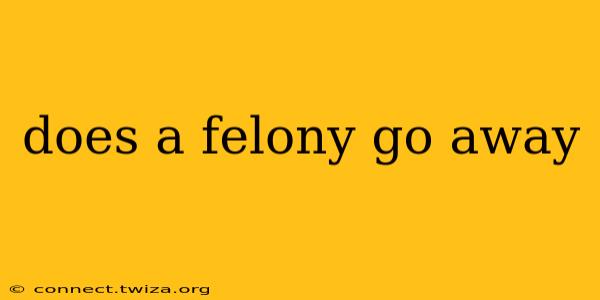 does a felony go away