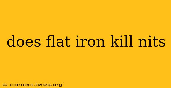 does flat iron kill nits