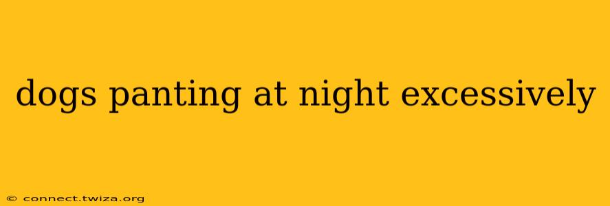 dogs panting at night excessively