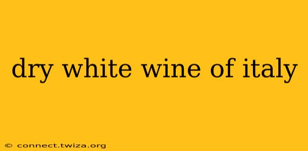 dry white wine of italy