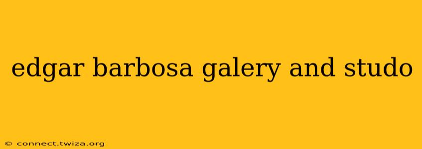 edgar barbosa galery and studo